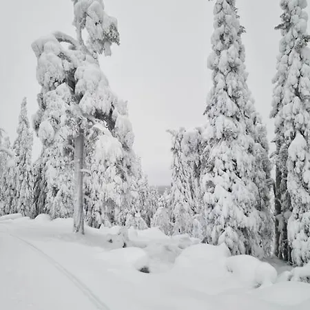 Haawe * Syote